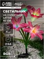 Садовый светильник на солнечной батарее «Лилия розовая», 80 см, 4 LED, свечение мульти (RGB) 7291261 - фото 16973004