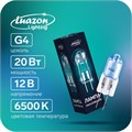 Лампа галогенная Luazon Lighting, G4, 20 Вт, 12 В, супер белая, набор 10 шт. 7884047 - фото 16977864