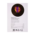 Светильник садовый Эра на солнечной батарее «Воздушный шар» LED, IP54 10490047 - фото 17016522