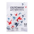 Обложки для переплета A4, 200 мкм, 100 листов, пластиковые, прозрачные бесцветные, Гелеос 5156761 - фото 17042464