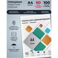 Пленка для ламинирования A4 216х303 мм, 60 мкм, 100 штук, глянцевые, Гелеос 5156785 - фото 17042471