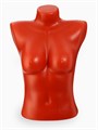 Торс женский "Диана" 54 х 40 см, объём 82,5 см, цвет оранжевый 6941555 - фото 17043581