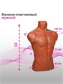 Торс мужской «Карон» 63×85 см, объём 85 см, цвет оранжевый 6941556 - фото 17043587