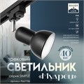 Светильник трековый "Мудрец" Е27 40Вт черный 9х9х19,5см 9667786 - фото 17048040