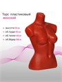 Торс женский, 85×60×88 см, цвет телесный 10085283 - фото 17048315