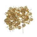 Гвозди ТУНДРА, декоративные, 10х18,5 мм, золото, 100 шт 857135 - фото 17088499