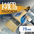 Кисть плоская ТУНДРА, натуральная щетина, деревянная рукоятка, 3", 75 мм 881531 - фото 17089959