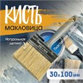 Кисть-макловица ТУНДРА, натуральная щетина, пластиковая рукоятка, 30х100 мм 881579 - фото 17090042