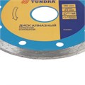 Диск алмазный отрезной ТУНДРА, сплошной, мокрый рез, 115 х 22 мм 1032294 - фото 17091363