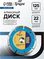 Диск алмазный отрезной ТУНДРА, сегментный, сухой рез, 125 х 22 мм 1032289 - фото 17091372