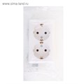 Розетка двойная SE "Хит", 16 А, 250 В, накладная, с з/к, IP20, белая, RA16-238-B 1182328 - фото 17091522