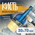 Кисть-макловица ТУНДРА, смешанная щетина, пластиковая рукоятка, 30х70 мм 881573 - фото 17092089