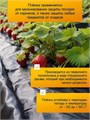Плёнка из полиэтилена, техническая, толщина 100 мкм, чёрная, длина 100 м, ширина 3 м, рукав (1.5 × 2 м), Эконом 50% 1352975 - фото 17093703