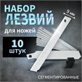 Лезвия для ножей ТУНДРА, сегментированные, 9 мм, 10 шт. 1414786 - фото 17095750