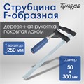 Струбцина F-образная ТУНДРА, 250 х 50 х 300 мм 1722220 - фото 17097751