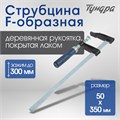 Струбцина F-образная ТУНДРА, 300 х 50 х 350 мм 1722221 - фото 17097757