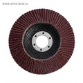Лепестковый круг 115х22 мм Р60 конический универсальный ТУНДРА 1857746 - фото 17098454