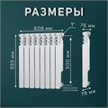 Радиатор Tropic 500x80 мм биметаллический, 8 секций 2398264 - фото 17098787