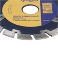 Диск алмазный отрезной ТУНДРА, сегментный с защитными секторами, сухой рез, 125 х 22 мм 1857762 - фото 17099124 Диск алмазный отрезной ТУНДРА, сегментный с защитными секторами, сухой рез, 125 х 22 мм 1857762 - фото 17099124