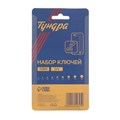 Набор ключей ТУНДРА, TORX Tamper, CrV, TT10 - TT50, 9 шт. 2354395 - фото 17102508