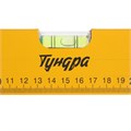 Уровень алюминиевый ТУНДРА, 3 глазка, линейка, 300 мм 2964620 - фото 17107126