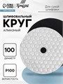 Алмазный гибкий шлифовальный круг ТУНДРА "Черепашка", для сухой шлифовки, 100 мм, № 100 3594932 - фото 17107681