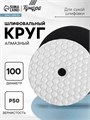 Алмазный гибкий шлифовальный круг ТУНДРА "Черепашка", для сухой шлифовки, 100 мм, № 50 3594931 - фото 17107688