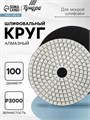 Алмазный гибкий шлифовальный круг ТУНДРА "Черепашка", для мокрой шлифовки, 100 мм, № 3000 3594928 - фото 17107702