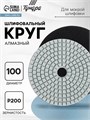 Алмазный гибкий шлифовальный круг ТУНДРА "Черепашка", для мокрой шлифовки, 100 мм, № 200 3594925 - фото 17107723