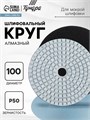 Алмазный гибкий шлифовальный круг ТУНДРА "Черепашка", для мокрой шлифовки, 100 мм, № 50 3594923 - фото 17107737