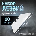 Лезвия для ножей ТУНДРА, трапециевидные, 19 х 0.6 мм, 10 шт. 2798926 - фото 17108079