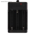 Зарядное устройство для трех аккумуляторов АА UC-25, USB, ток заряда 250 мА, чёрное 4057638 - фото 17113534