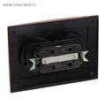Розетка "Элект" RS 16-237-ЧМ, 16 А, 250 В, двухместная, скрытая, без з/к, черная под медь 4364466 - фото 17114013 Розетка "Элект" RS 16-237-ЧМ, 16 А, 250 В, двухместная, скрытая, без з/к, черная под медь 4364466 - фото 17114013