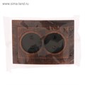 Розетка "Элект" RS 16-237-ЧМ, 16 А, 250 В, двухместная, скрытая, без з/к, черная под медь 4364466 - фото 17114014 Розетка "Элект" RS 16-237-ЧМ, 16 А, 250 В, двухместная, скрытая, без з/к, черная под медь 4364466 - фото 17114014