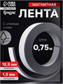 Магнитная лента ТУНДРА, с клеевым слоем, 12.5 х 1.5 мм, длина 0.75 м 4334645 - фото 17116112