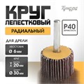Круг лепестковый радиальный ТУНДРА, 30 х 20 х 6 мм, Р40 5162348 - фото 17124584