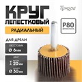 Лепестковый круг для дрели 30х20х6 мм Р80 радиальный универсальный ТУНДРА 5162350 - фото 17124590
