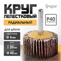 Круг лепестковый радиальный ТУНДРА, 40 х 20 х 6 мм, Р40 5162351 - фото 17124596