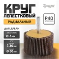 Круг лепестковый радиальный ТУНДРА, 50 х 30 х 6 мм, Р40 5162354 - фото 17124612