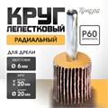 Круг лепестковый радиальный ТУНДРА, 20 х 20 х 6 мм, Р60 5162346 - фото 17124683