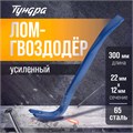 Лом-гвоздодер ТУНДРА, усиленный, 65 сталь, 300 х 22 х 12 мм 5255009 - фото 17125498