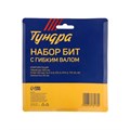 Набор бит с гибким удлинителем ТУНДРА, PH-SL-PZ-TX, 50 мм, 12 предметов 5378178 - фото 17126110