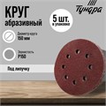 Круг абразивный шлифовальный под "липучку" ТУНДРА, перфорированный, 150 мм, Р150, 5 шт. 5354669 - фото 17127360