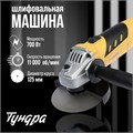 УШМ ТУНДРА, 700 Вт, 11000 об/мин, 125 мм 5437458 - фото 17129129