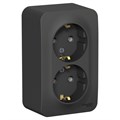 Розетка двойная SE Blanca, 16 А, 250 В, накладная, с з/к, IP20, антрацит, BLNRA010216 7612683 - фото 17133593