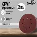 Круг абразивный шлифовальный под "липучку" ТУНДРА, перфорированный, 150 мм, Р1000, 5 шт. 7441684 - фото 17136070