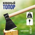 Топор кованый ТУНДРА, туристический, укороченное топорище 350 мм, 600 г 9176443 - фото 17140186