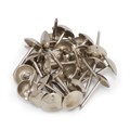 Гвозди ТУНДРА, декоративные, 8х15 мм, хром, 50 шт 9118050 - фото 17140217