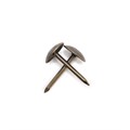 Гвозди ТУНДРА, декоративные, 8х15 мм, бронза, 50 шт 9118051 - фото 17140238