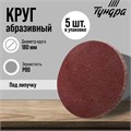 Круг абразивный шлифовальный под "липучку" ТУНДРА, 180 мм, Р80, 5 шт. 9422574 - фото 17157075